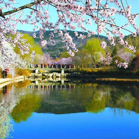 北京未来一周的天气预报（15天北京天气预报最新）