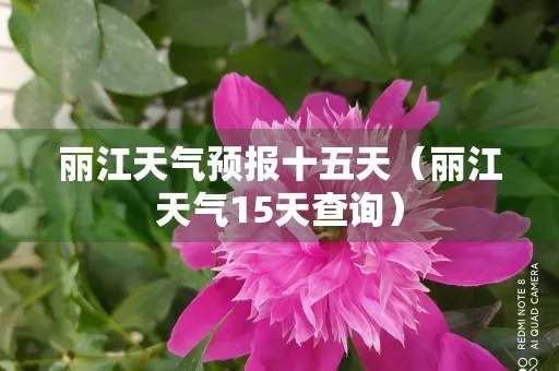丽江一周天气预报(丽江一周天气预报15天查询结果) 丽江一周天气预报(丽江一周天气预报15天查询结果)