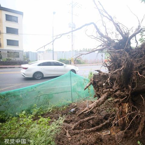 四川成都天气预报（四川成都天气预报15天准确率）