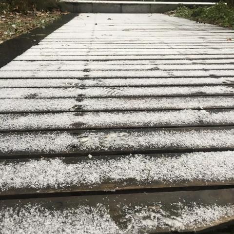 天气预报西安（天气预报西安7天）
