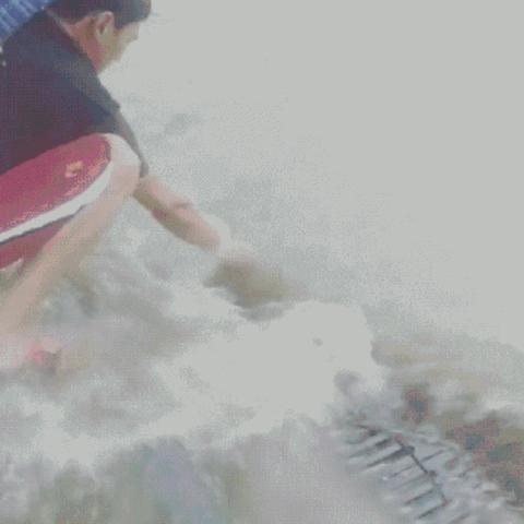 郑州特大暴雨（郑州特大暴雨调查报告全文）