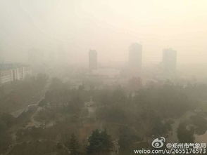 郑州一周天气(郑州一周天气预报) 郑州一周天气(郑州一周天气预报)