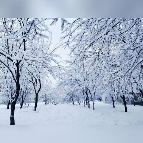 沂源天气预报（济南天气预报）