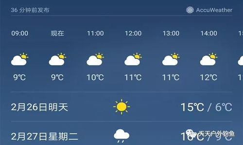 明天天气（明天天气适合钓鱼吗?）