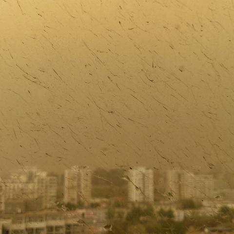 今天北京天气预报(明天北京天气预报) 今天北京天气预报(明天北京天气预报)