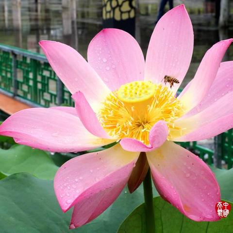 贵港天气预报15天（贵港天气预报15天当地天气查询表）