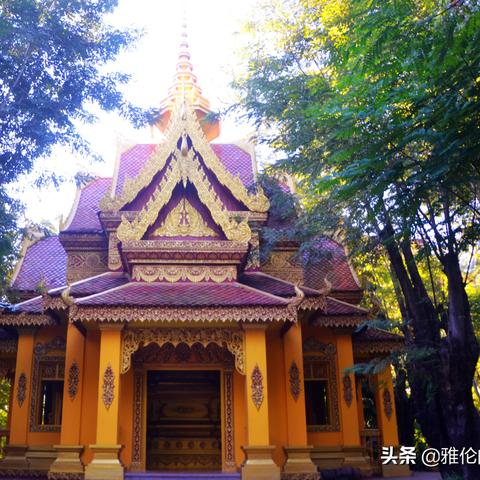 西双版纳天气（西双版纳天气五一）
