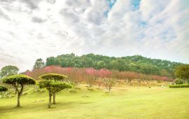 石门天气预报(桃源天气预报) 石门天气预报(桃源天气预报)
