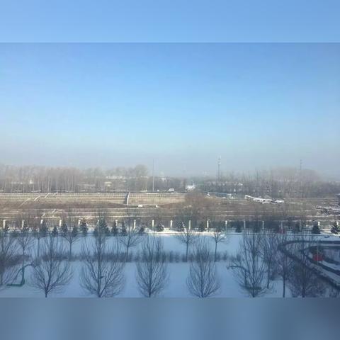 天气预报哈尔滨（天气预报哈尔滨30天）