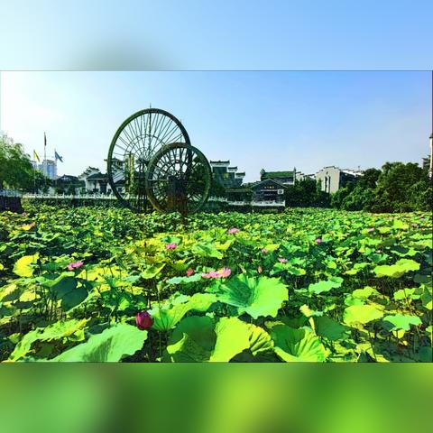 枝江天气预报（宜都天气预报）